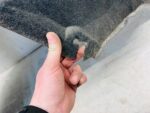 COROLLA CROSS NADKOLE TYLNE LEWY TYŁ MATERIAŁ 65638-16010 USZKODZONE - obrazek 7