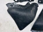 COROLLA E21 KOMBI WYGŁUSZENIE NADKOLA TYŁ BAGAŻNIKA KOMPLET - obrazek 4