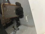 RAV4 IV MASKA POKRYWA SILNIKA PRZÓD WGNIOTKI RYSY 4U5 - obrazek 9