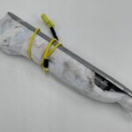 RAV4 V PODUSZKA POWIETRZNA AIRBAG FOTELA FOTELOWA PASAŻERA PRAWA
